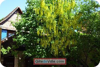 Self Catering Vacation Rental Schiltigheim 5