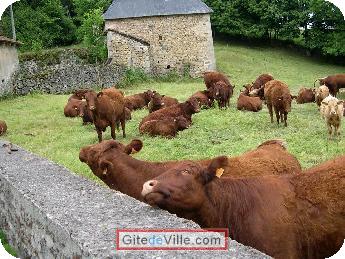 Gîte Roumegoux 1