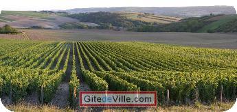 Self Catering Vacation Rental Daix 12
