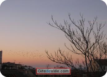 Vacation Rental (and B&B) Marseille 7