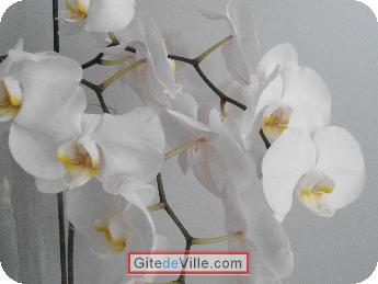 Self Catering Vacation Rental Nantes 6