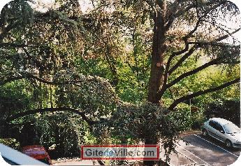 Self Catering Vacation Rental Oullins 11