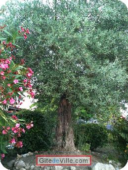 Gîte Marssac_sur_Tarn 4