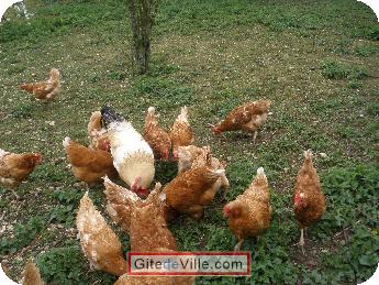 Self Catering Vacation Rental Longvic 4