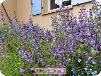 Bed and Breakfast Sainte_Savine 11