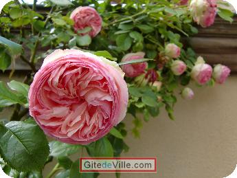 Bed and Breakfast Sainte_Savine 6